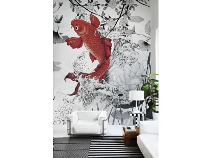 Koi re-edition