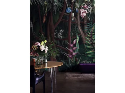 Looks in the Forest