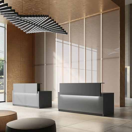 Reception Class 03 di Colombini Office